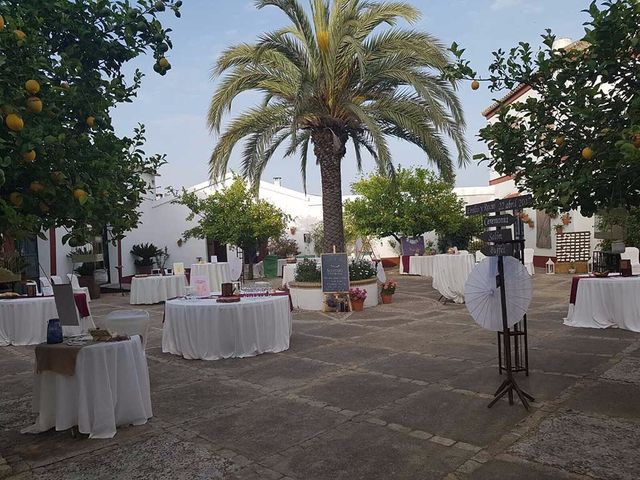 La boda de Emilio y Rocío en Palomares Del Rio, Sevilla 6