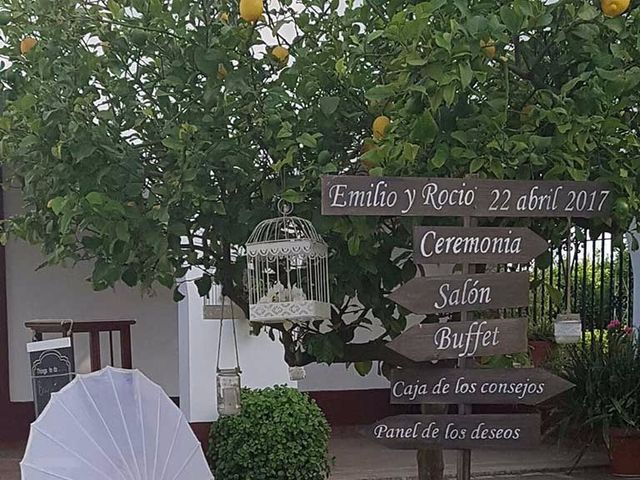 La boda de Emilio y Rocío en Palomares Del Rio, Sevilla 10