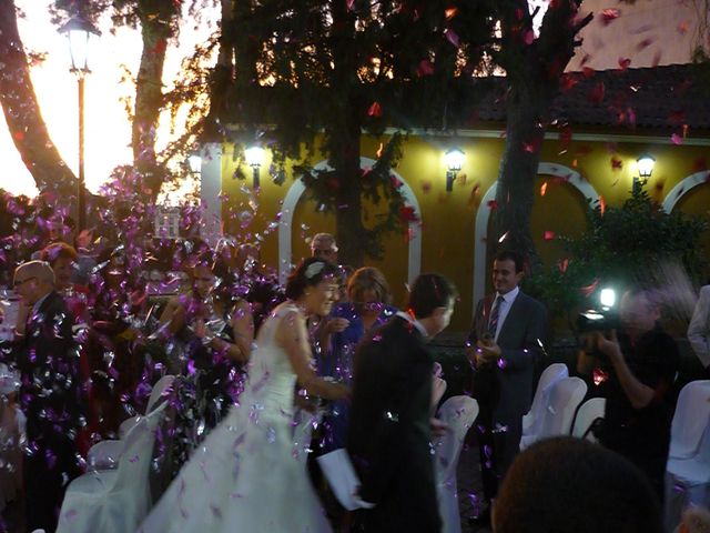 La boda de Patricia y Dani en Museros, Valencia 1
