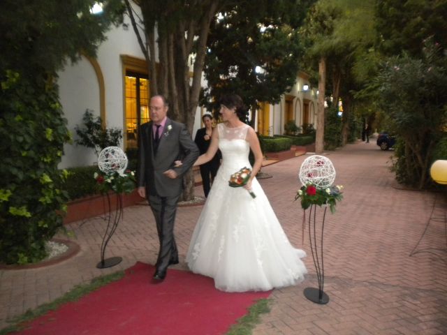 La boda de Patricia y Dani en Museros, Valencia 7