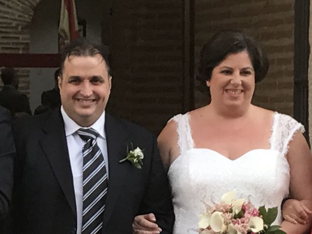 La boda de Julian y Elisabet en Medina Del Campo, Valladolid 2