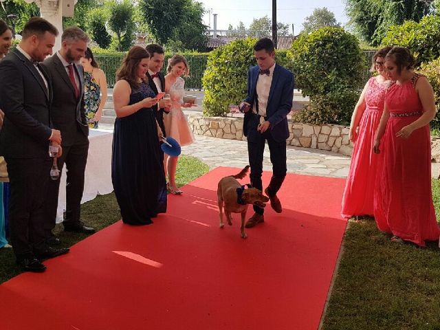 La boda de Alberto y Irene en Madrid, Madrid 6