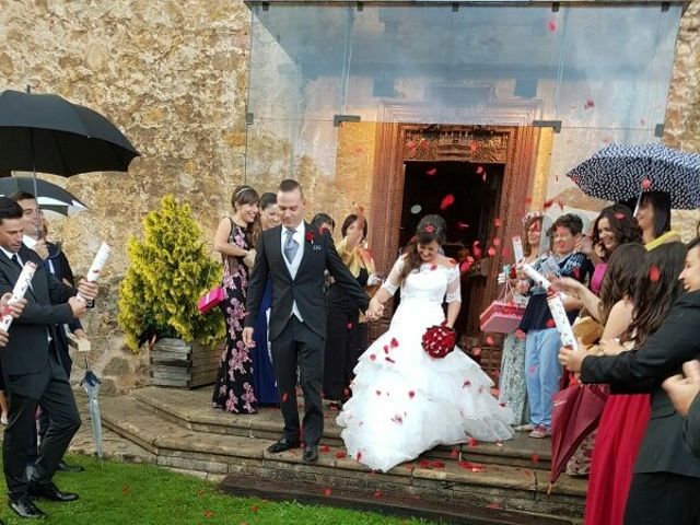 La boda de Sergio y Patricia en Posada De Llanera, Asturias 1