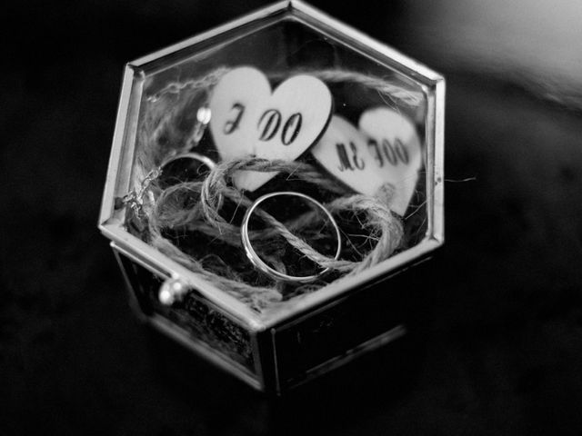 La boda de Andrey y Raquel en Elx/elche, Alicante 16