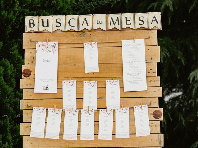 La boda de Andrey y Raquel en Elx/elche, Alicante 55