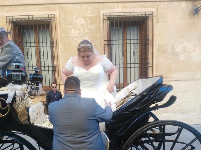 La boda de Manuel y Monica en Elx/elche, Alicante 9
