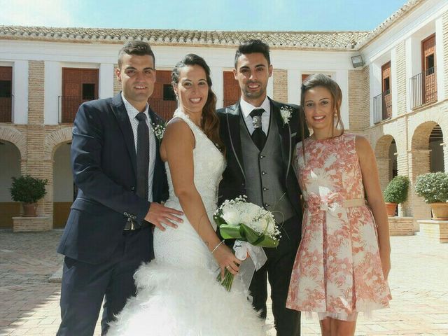 La boda de Abel y Lidia en Villena, Alicante 71