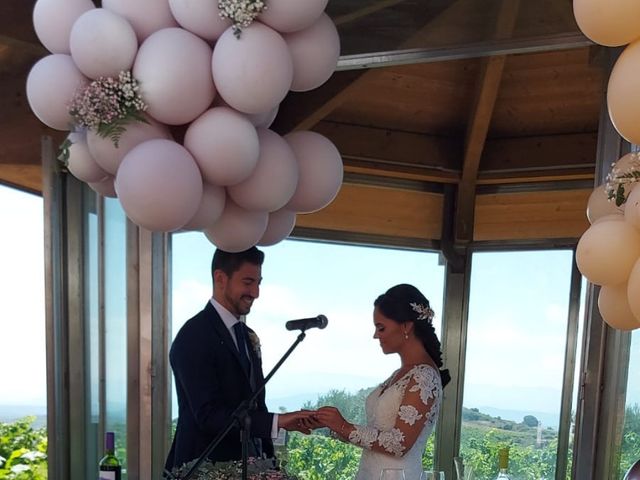 La boda de Miguel y Virginia en Laguardia, Álava 4