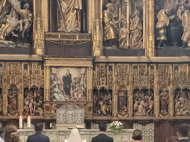 La boda de Victor y Ana en Zaragoza, Zaragoza 10