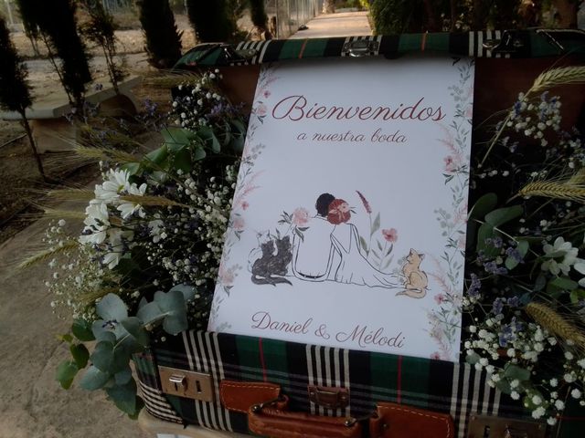 La boda de Daniel y Mélodi en Elx/elche, Alicante 10