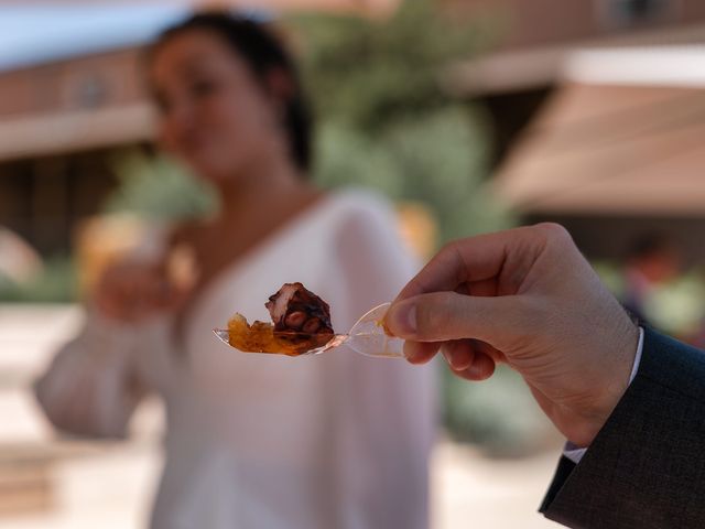 La boda de Sandra y Pedro en Roa De Duero, Burgos 48