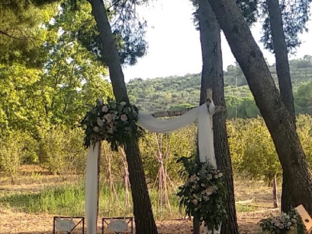 La boda de Antonio  y Jenny  en L' Albiol, Tarragona 7