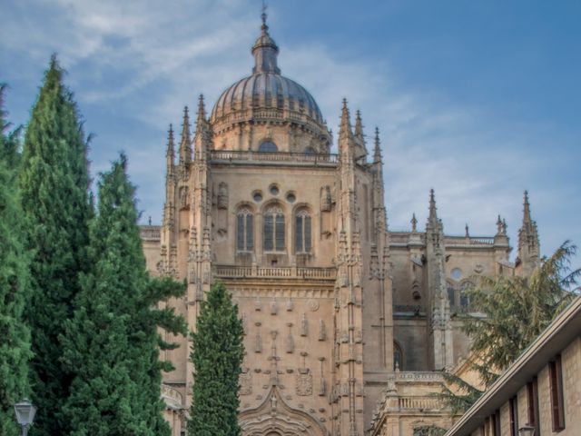 La boda de Nacho y Sofia en Salamanca, Salamanca 23