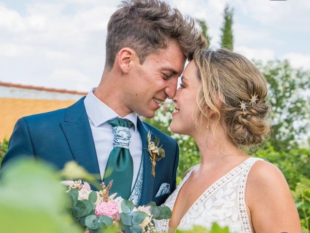 La boda de Alberto y Veronica en Laguna De Duero, Valladolid 3