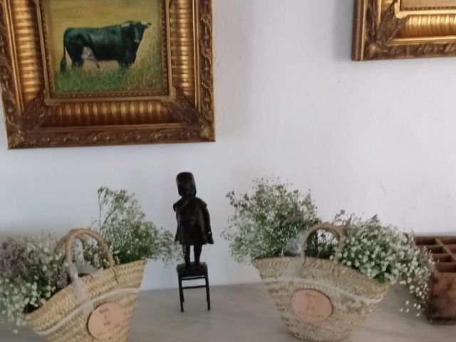 La boda de Paola y Toñi en El Puerto De Santa Maria, Cádiz 3
