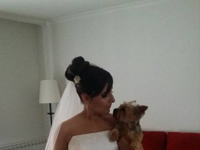 La boda de Rober y Carol en Carabaña, Madrid 7