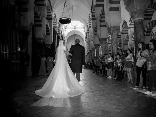 La boda de Javier y Angela en Córdoba, Córdoba 17