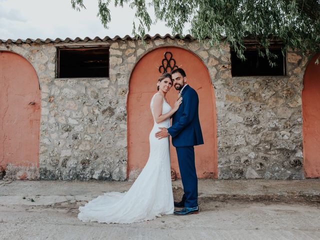 La boda de Miguel y Alicia en Grajera, Segovia 58