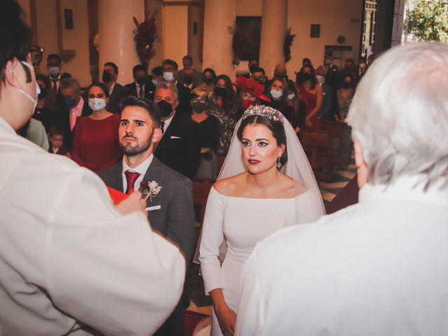 La boda de Javier y Almudena en Los Barrios, Cádiz 48