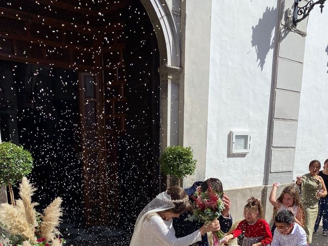 La boda de Manuel y Andrea en Pinos Puente, Granada 2