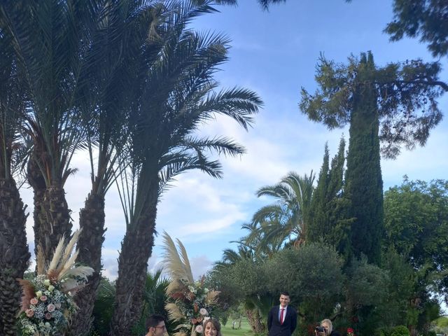 La boda de Sergio y Sara en Alacant/alicante, Alicante 5