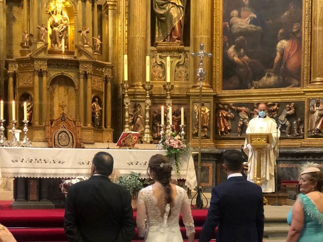 La boda de Daniel y Elena en Plasencia, Cáceres 4