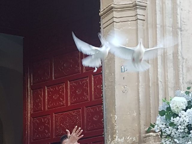 La boda de José Antonio  y Tamara en Huercal De Almeria, Almería 46