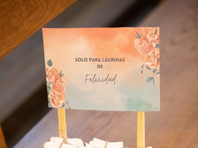 La boda de Jenni y Antonio en Ávila, Ávila 51