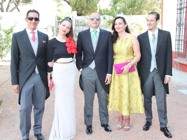 La boda de Marina y Bernardo en Jerez De La Frontera, Cádiz 9