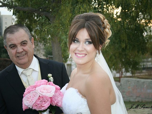 La boda de Jairo y Miriam en Jerez De La Frontera, Cádiz 14