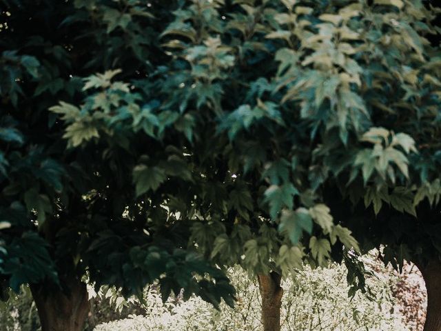 La boda de Tiberiu Alexandru  y Giulia Cristina  en Illescas, Toledo 20