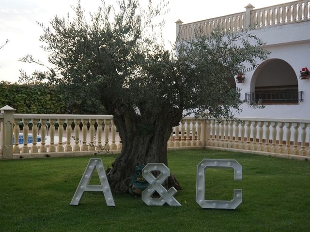 La boda de Antonio y Cristina en Albacete, Albacete 49