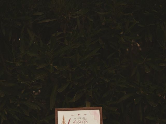 La boda de Silvia y Miguel en Elx/elche, Alicante 14