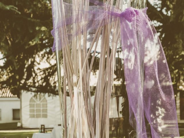 La boda de Ricardo y Mariví en Aranjuez, Madrid 51