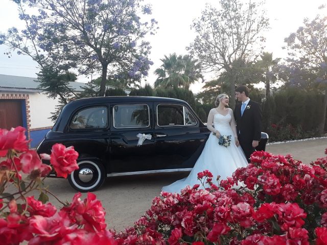 La boda de Pablo y Marta en Gerena, Sevilla 8