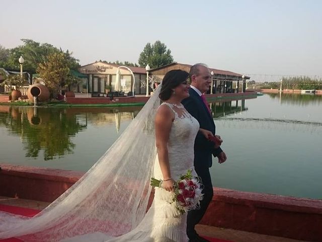 La boda de Juan y Natalia en Elx/elche, Alicante 1