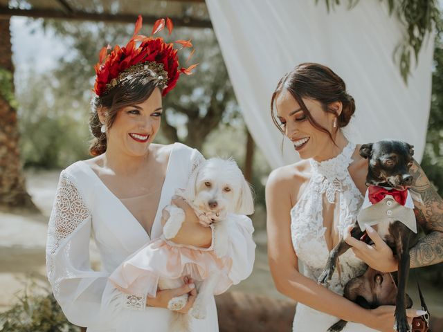 La boda de Paula y Jenn en Elx/elche, Alicante 2