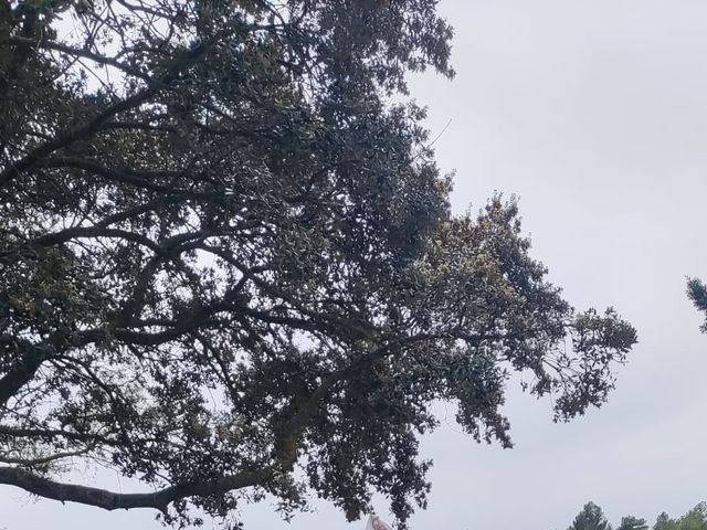 La boda de Adriana y Eric en Cardona, Barcelona 5