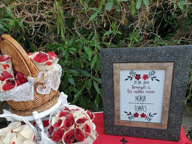 La boda de Tomy y Nuri en Muro, Islas Baleares 7