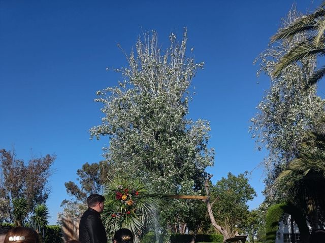 La boda de Pablo y Ángela  en Sevilla, Sevilla 1