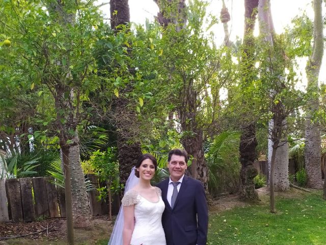 La boda de Jose Roberto y Sara en Elx/elche, Alicante 4