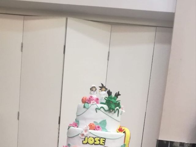 La boda de Jose Roberto y Sara en Elx/elche, Alicante 11