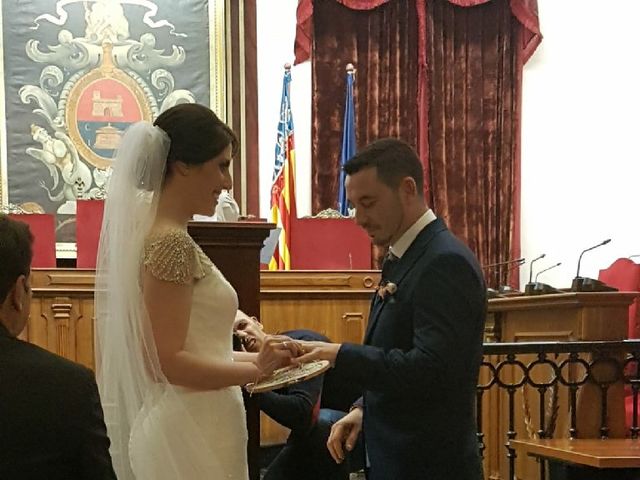 La boda de Jose Roberto y Sara en Elx/elche, Alicante 14