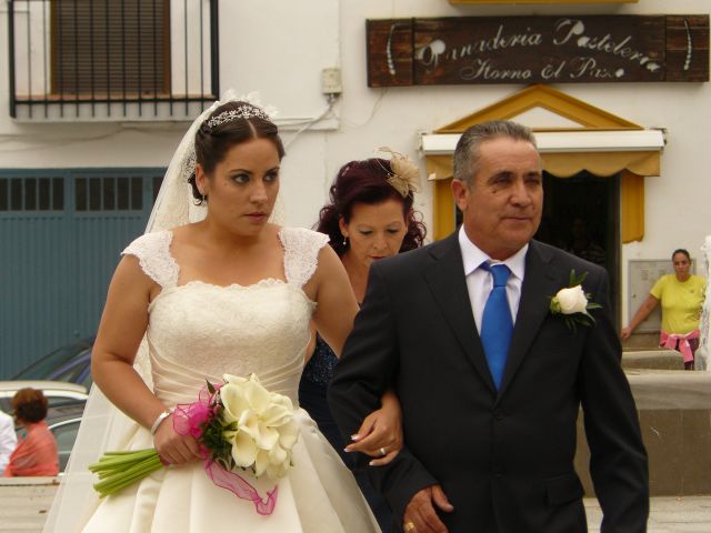 La boda de Raúl y Lidia  en Guadix, Granada 4