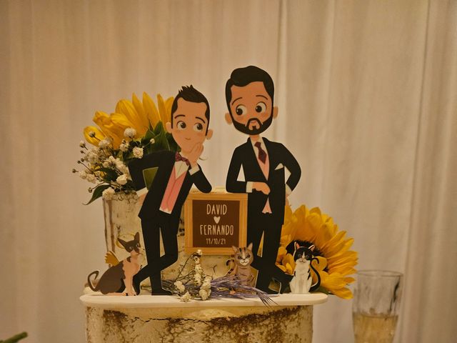 La boda de David y Fernando en Las Palmas De Gran Canaria, Las Palmas 4