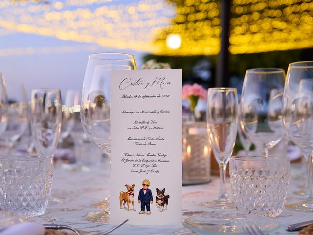La boda de Cristina y Mario en Alcalá De Henares, Madrid 49