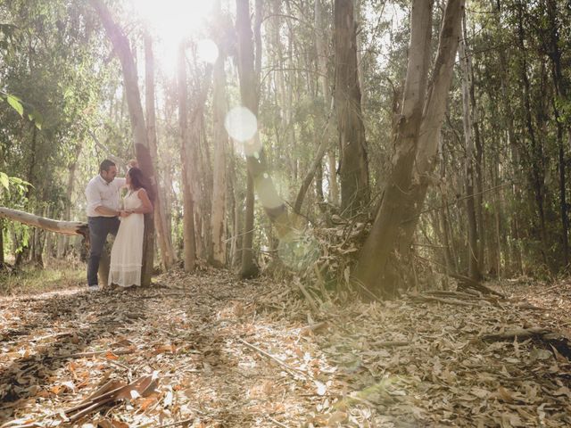 La boda de Luis y Ana en Alcala Del Rio, Sevilla 42