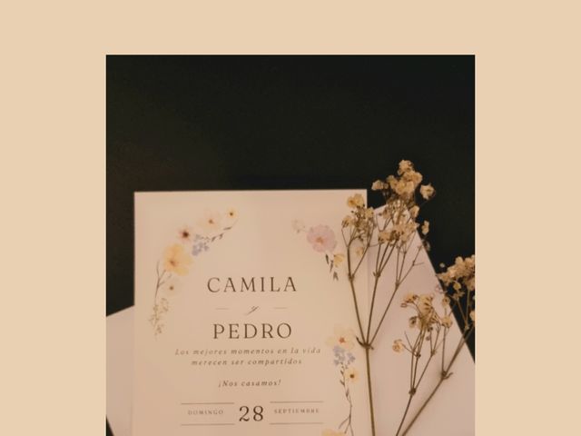 La boda de Pedro y Camila en Inca, Islas Baleares 99