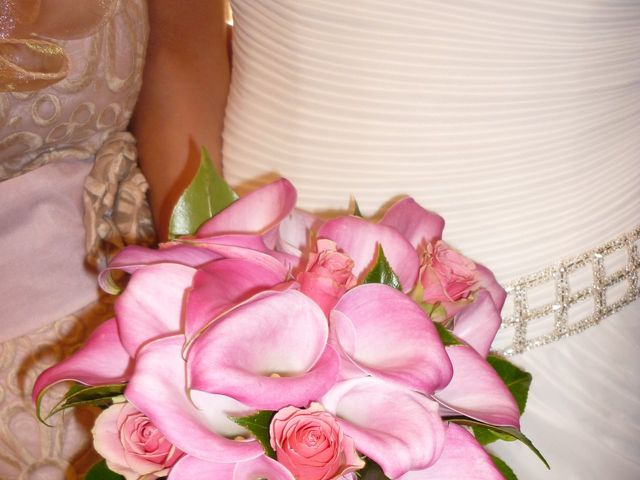 La boda de Marina y Sergio  en Zamora, Zamora 6