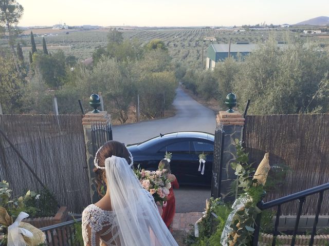 La boda de Pablo y Sara  en Antequera, Málaga 7